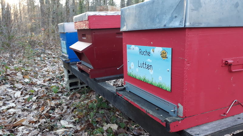 La ruche Lutten