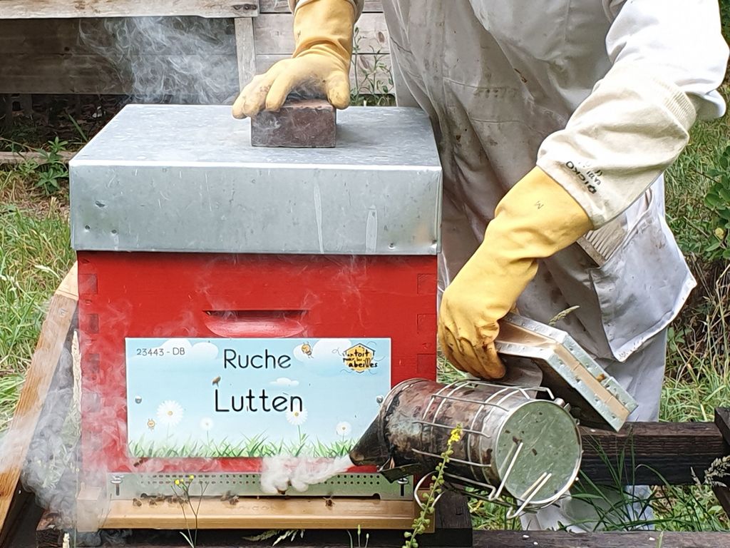 La ruche Lutten