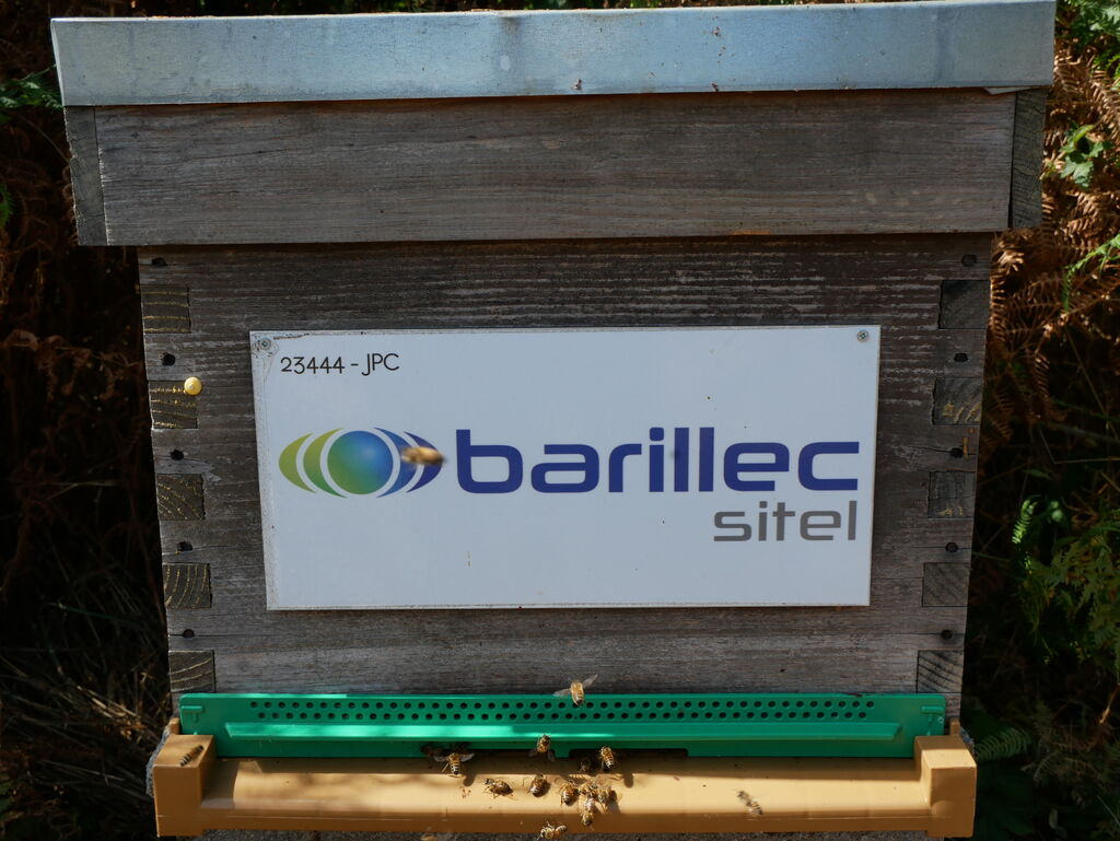 La ruche BARILLEC Sitel