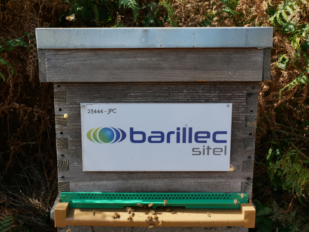 La ruche BARILLEC Sitel
