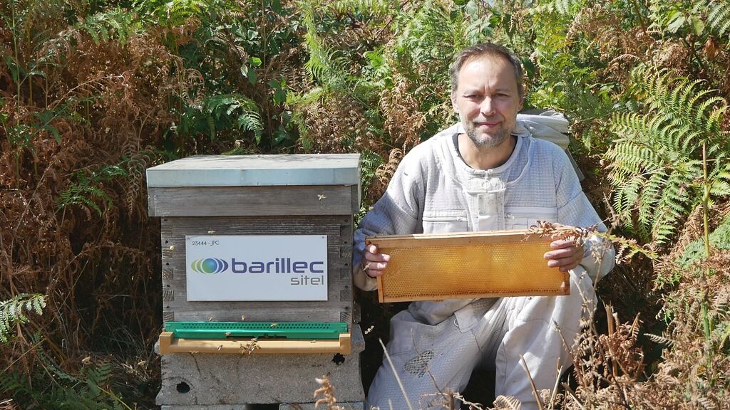 La ruche BARILLEC Sitel