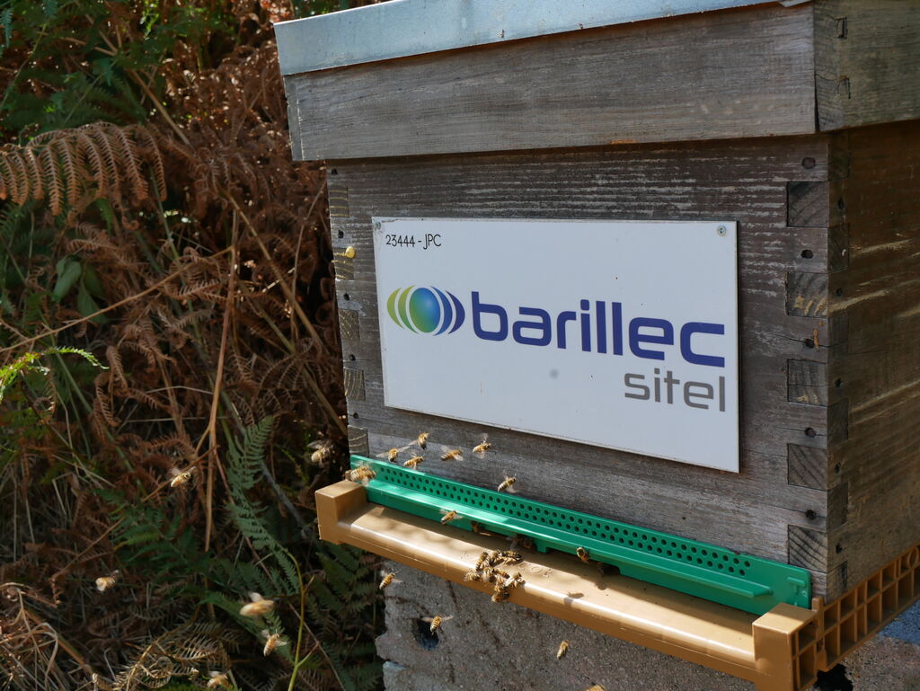 La ruche BARILLEC Sitel