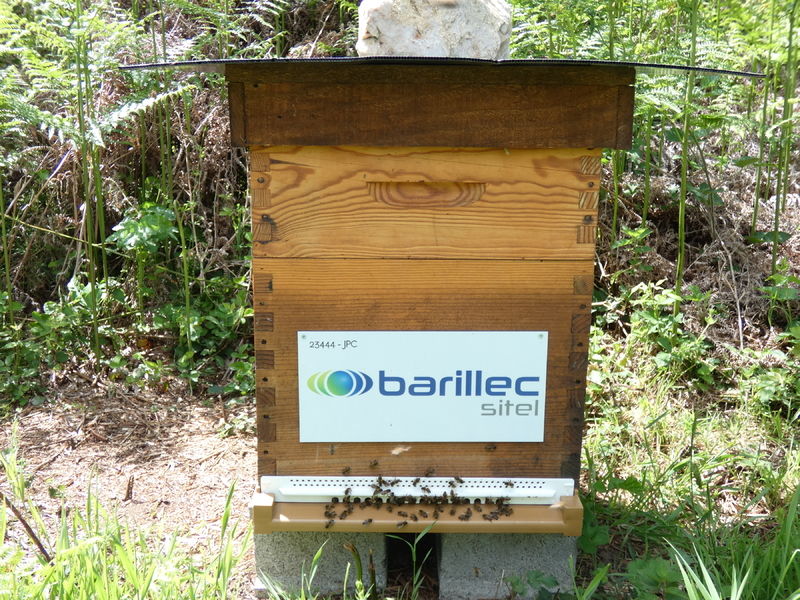 La ruche BARILLEC Sitel