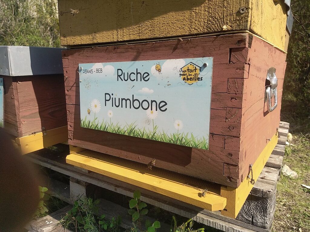 La ruche Piumbone