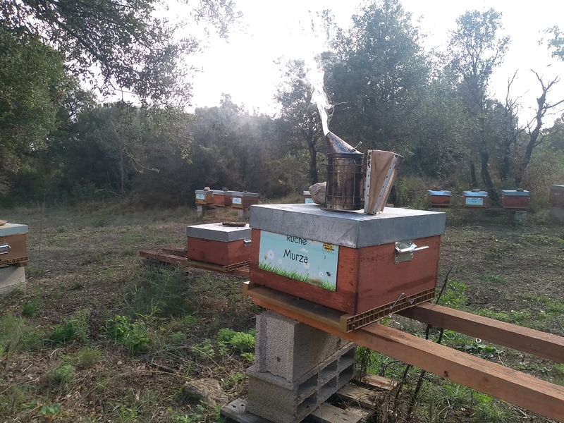 La ruche Murza