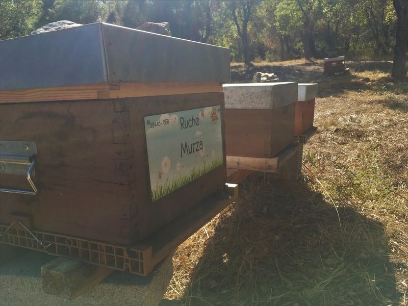 La ruche Murza
