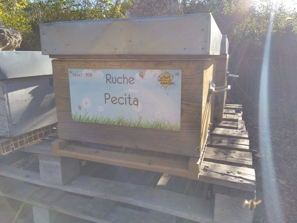 La ruche Pecita