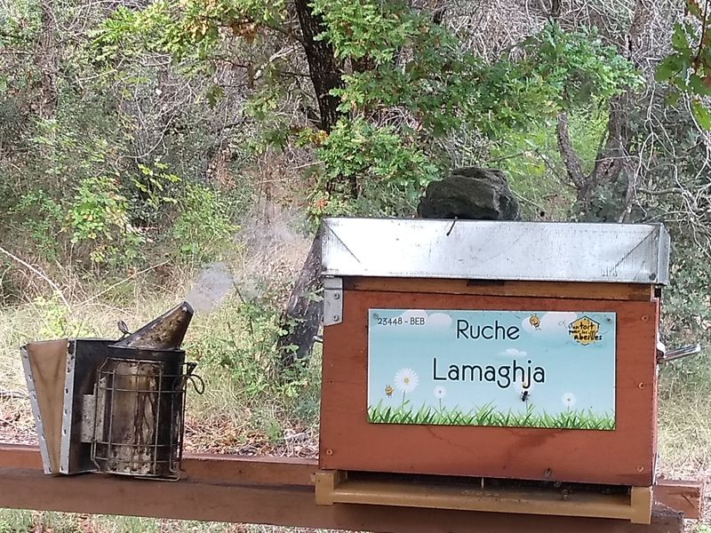 La ruche Lamaghja
