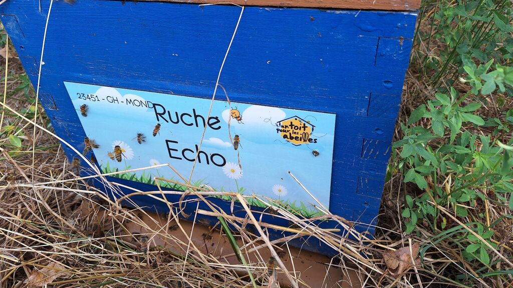La ruche Echo
