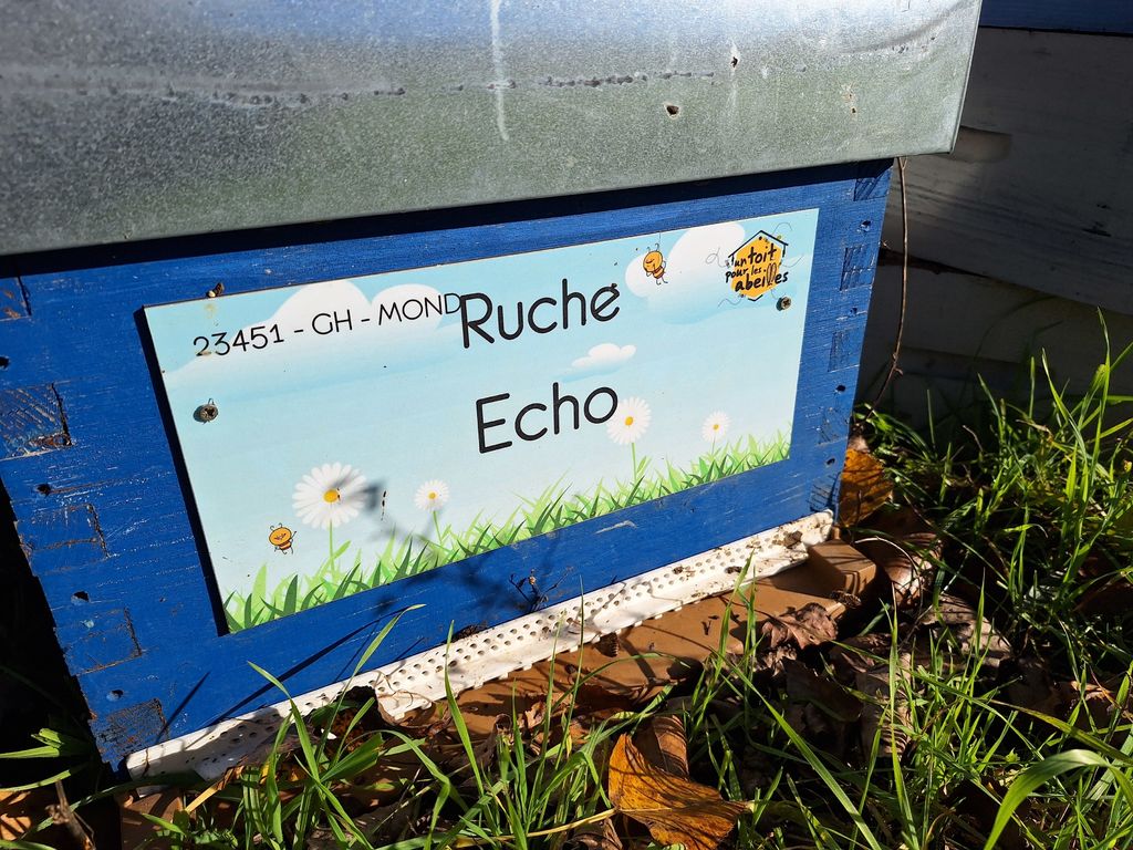La ruche Echo