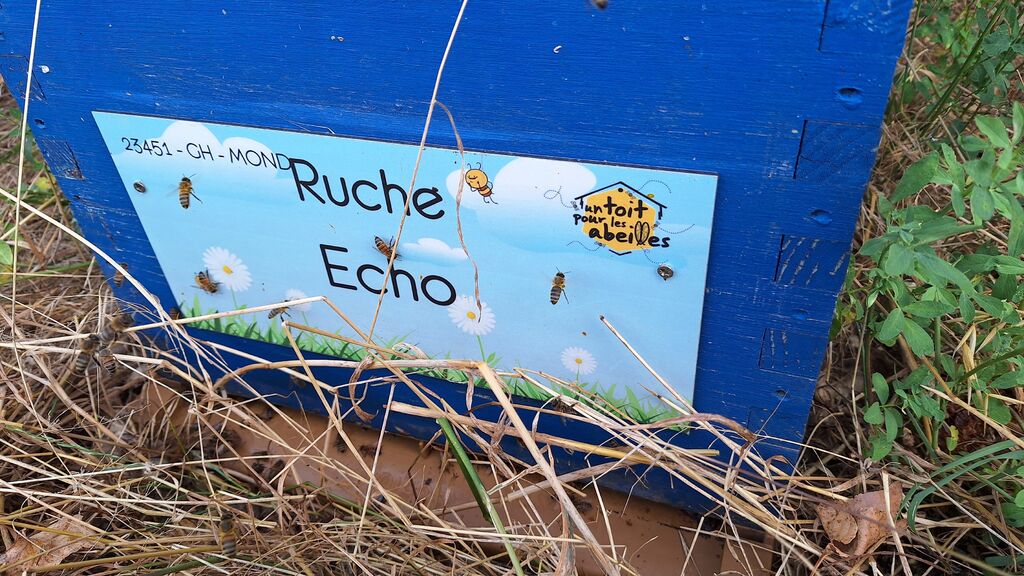 La ruche Echo