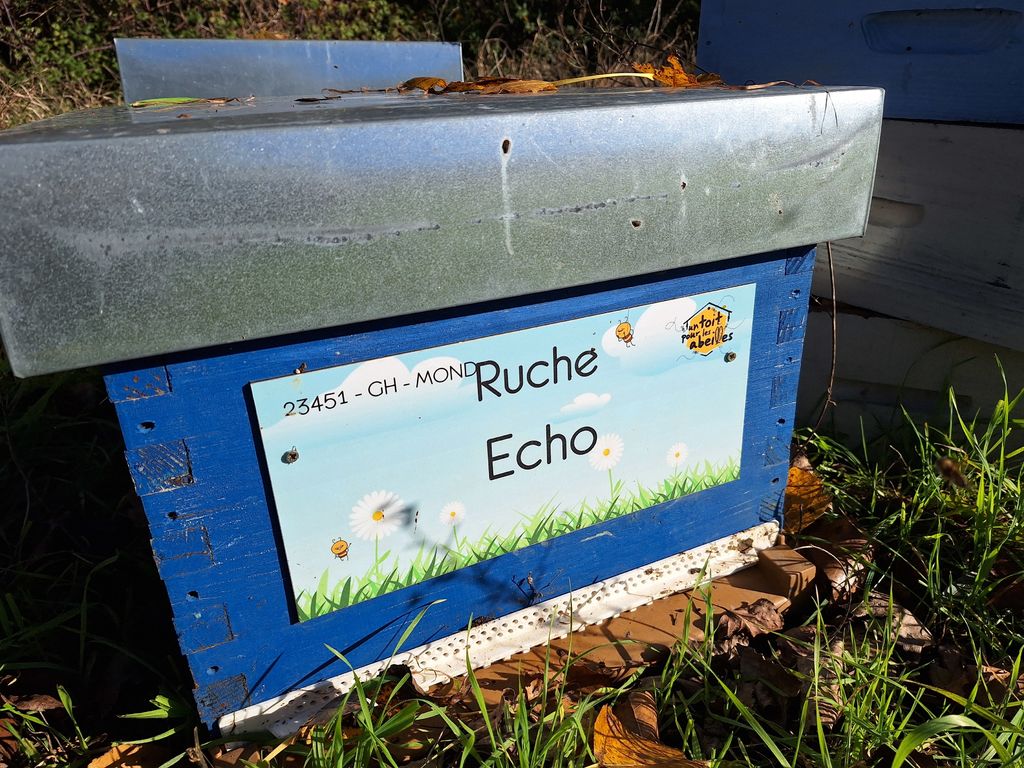 La ruche Echo