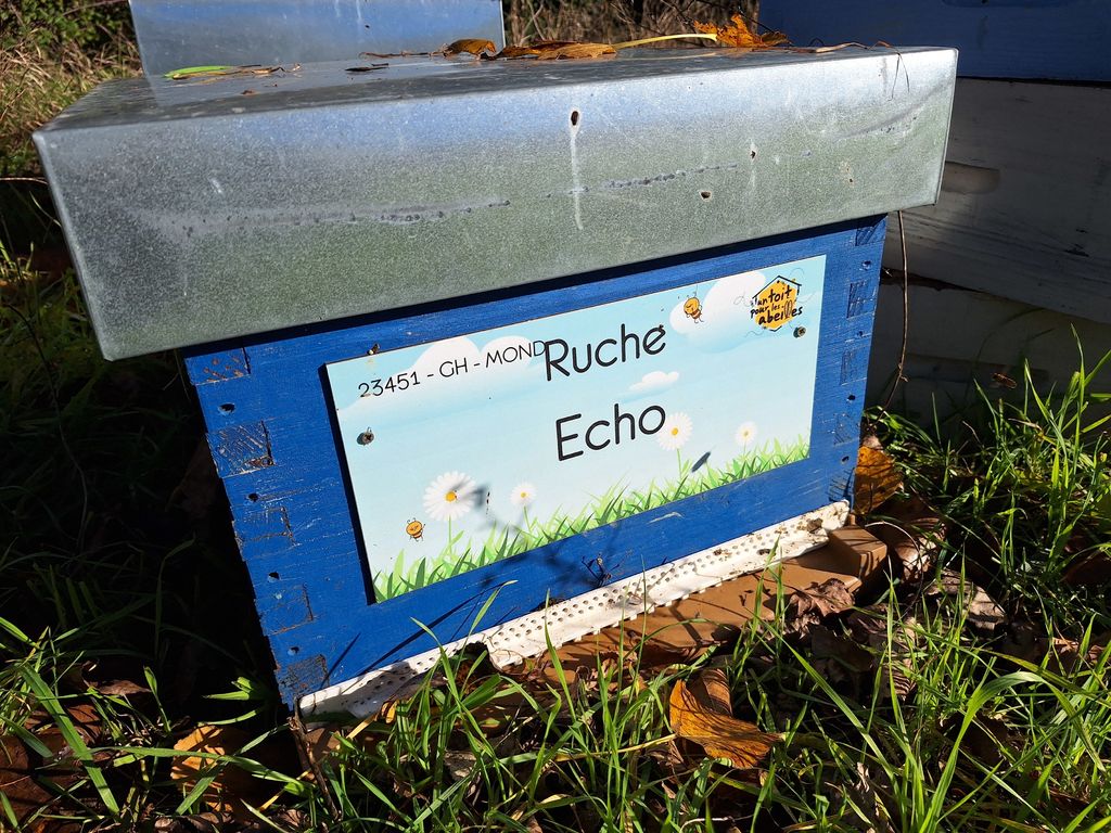 La ruche Echo