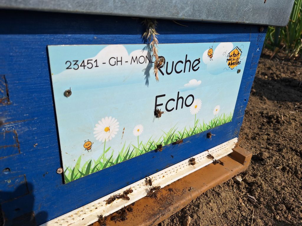 La ruche Echo