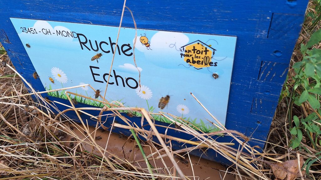 La ruche Echo