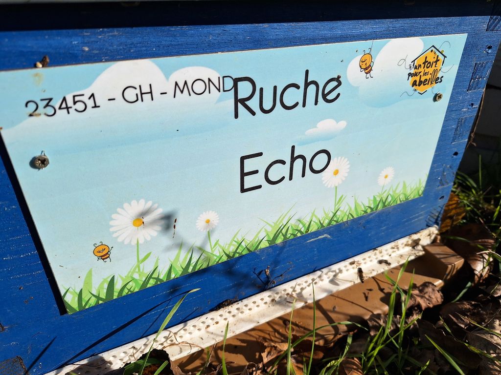 La ruche Echo