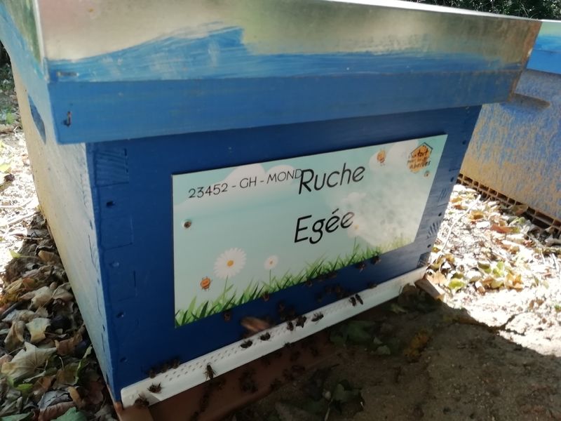 La ruche
