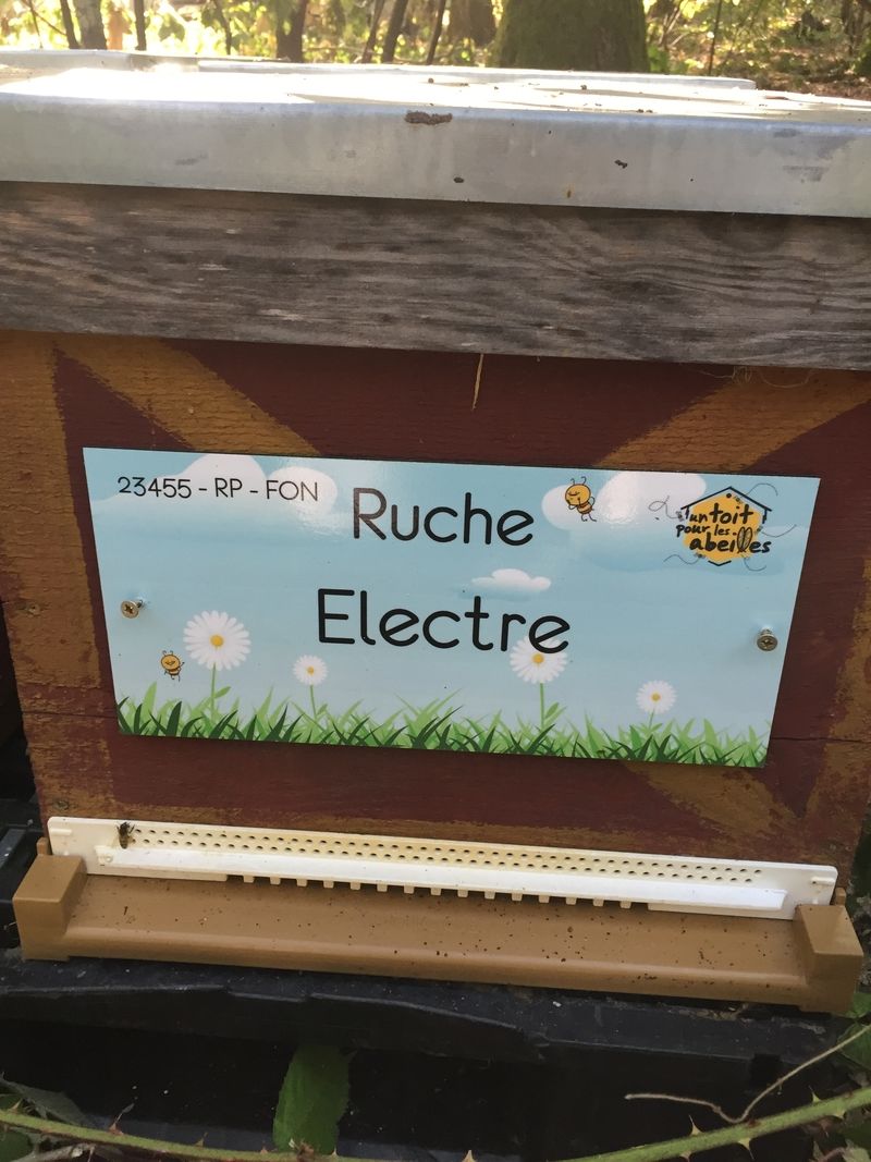 La ruche