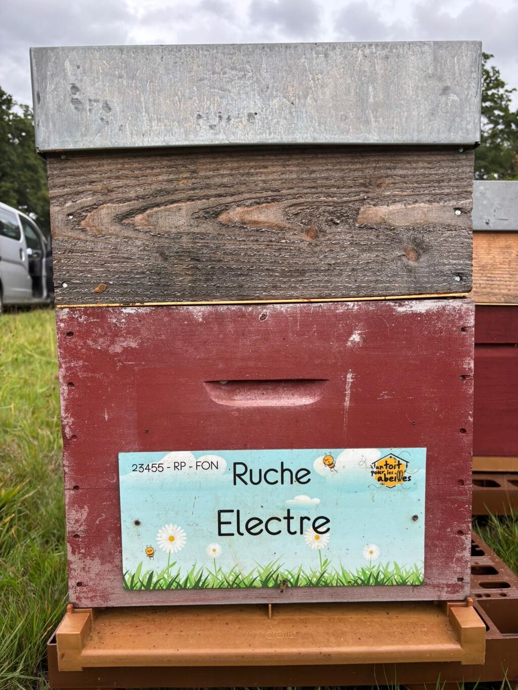 La ruche Electre