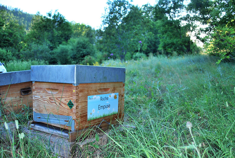 La ruche Empuse