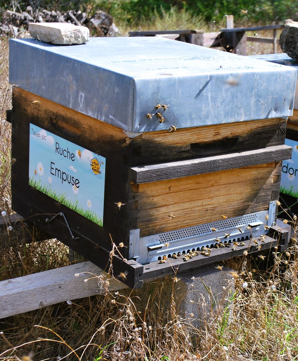 La ruche Empuse