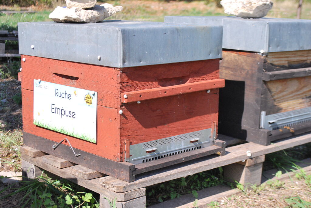 La ruche Empuse