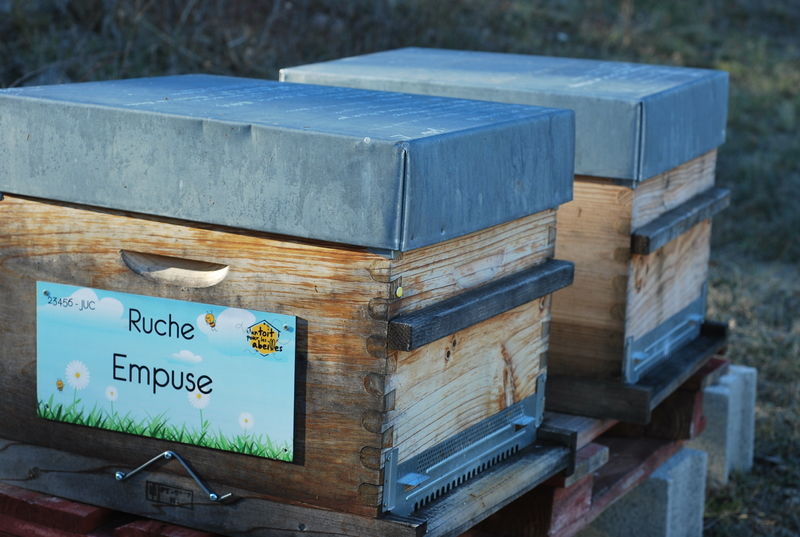 La ruche Empuse