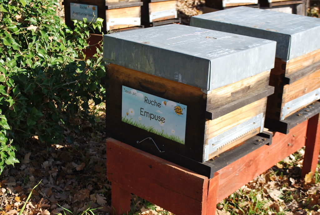 La ruche Empuse