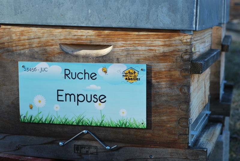 La ruche Empuse