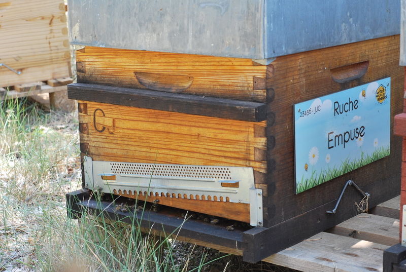 La ruche Empuse