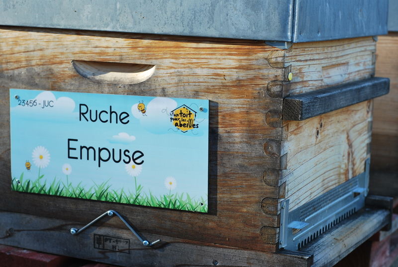 La ruche Empuse