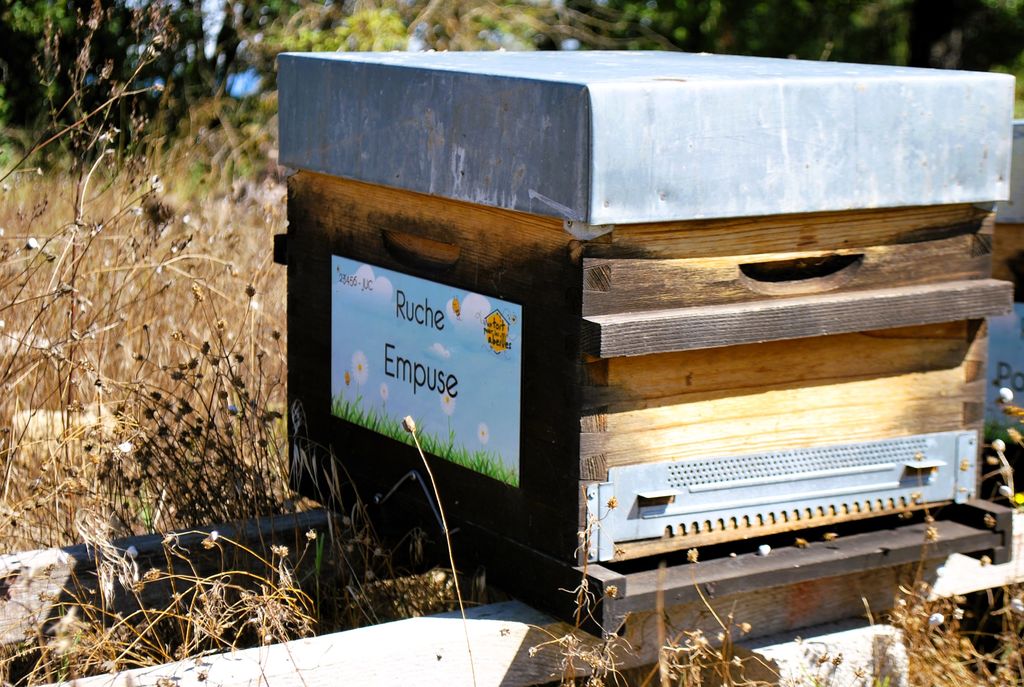 La ruche Empuse