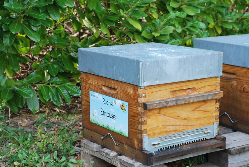 La ruche Empuse