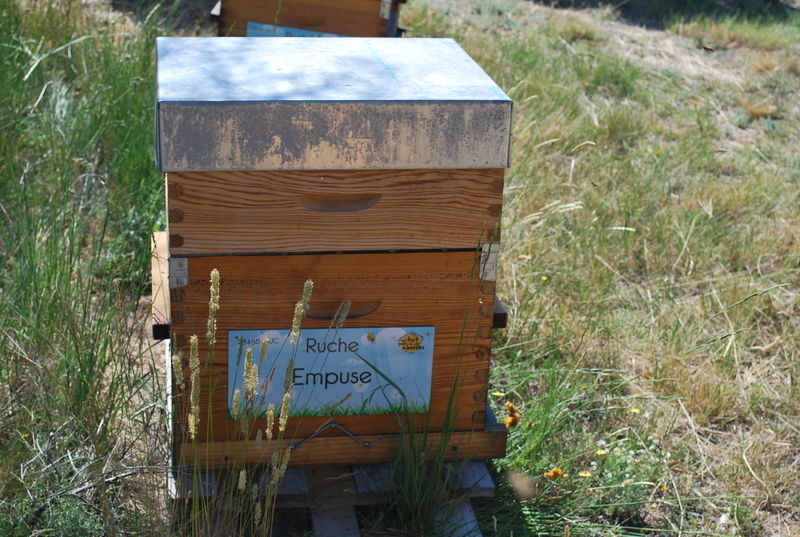 La ruche Empuse