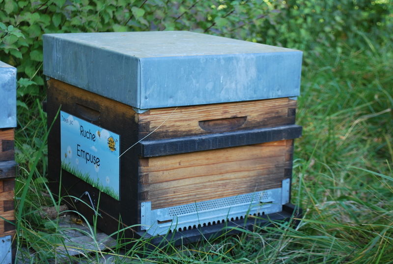 La ruche Empuse