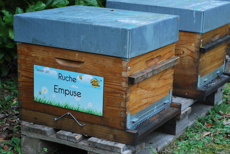 La ruche Empuse