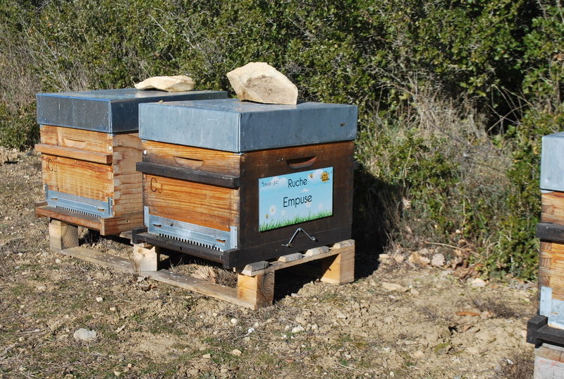 La ruche Empuse