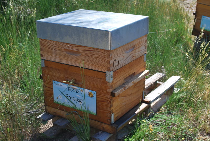 La ruche Empuse