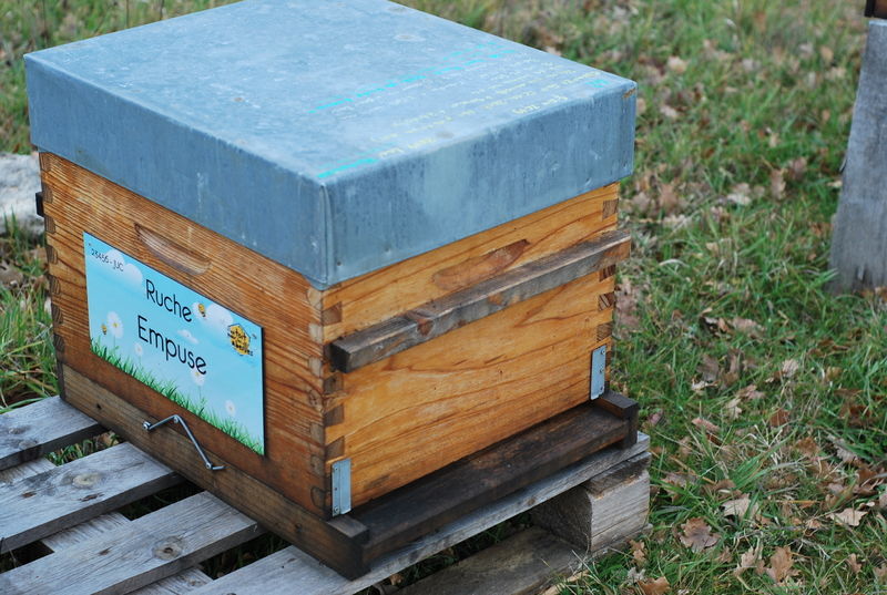 La ruche Empuse