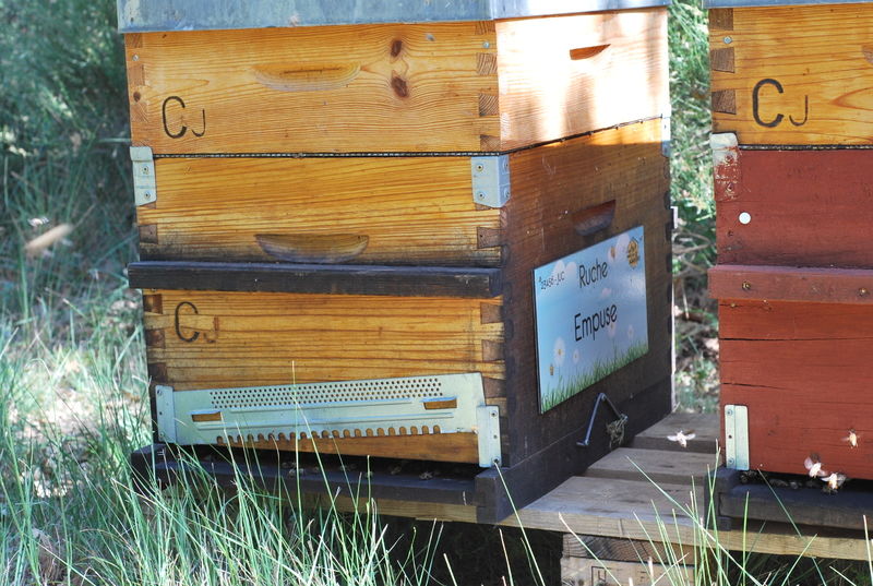 La ruche Empuse