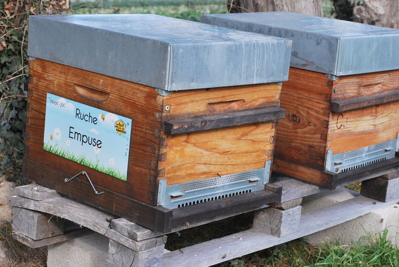 La ruche Empuse