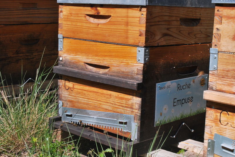 La ruche Empuse