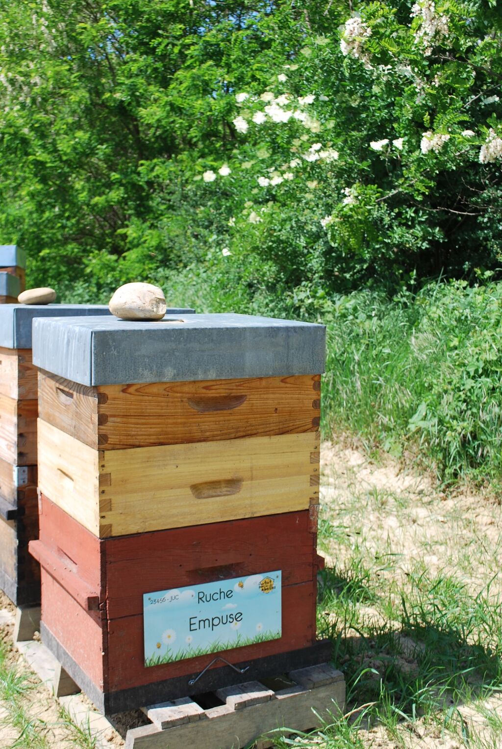 La ruche Empuse