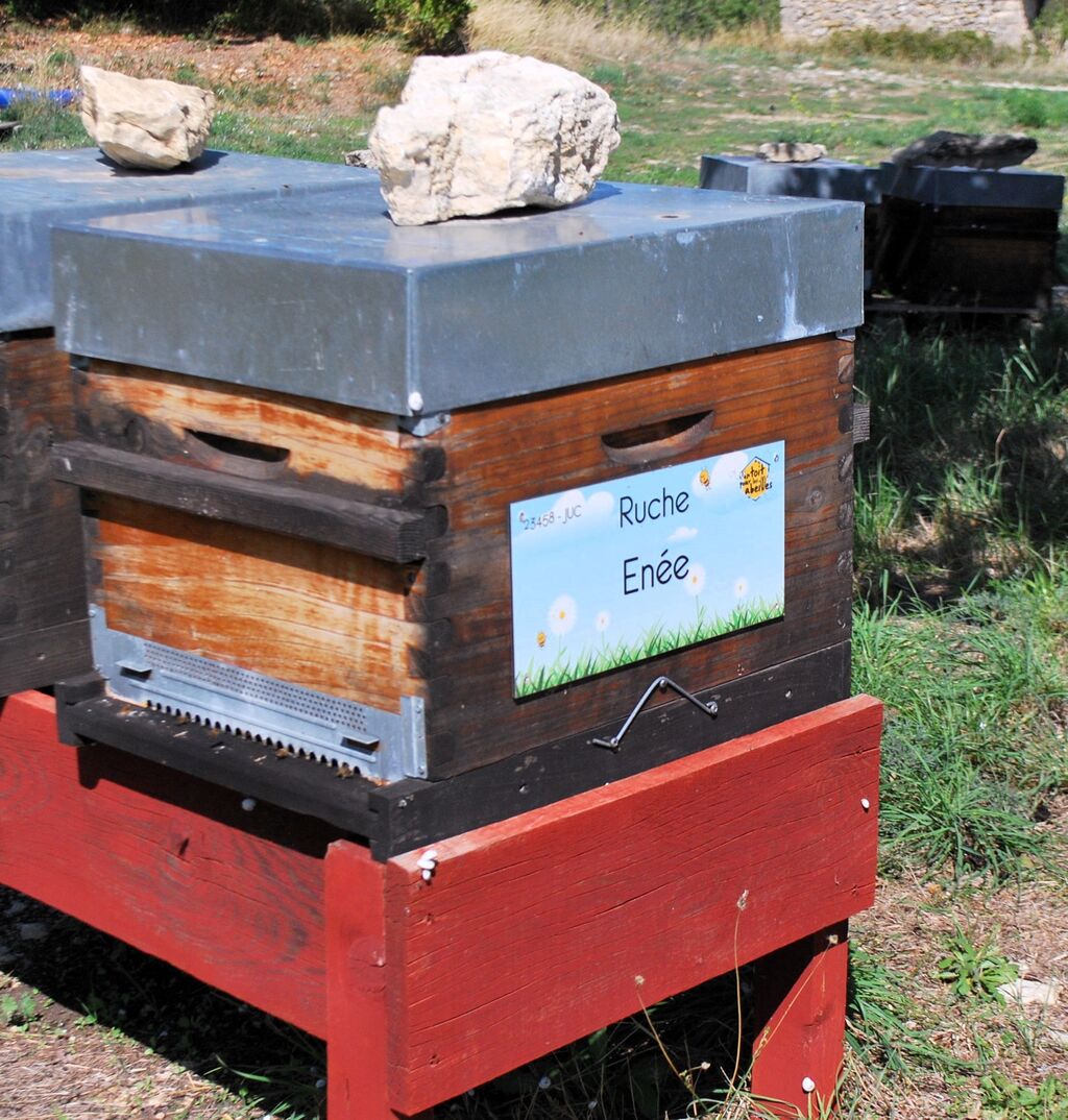 La ruche Enée