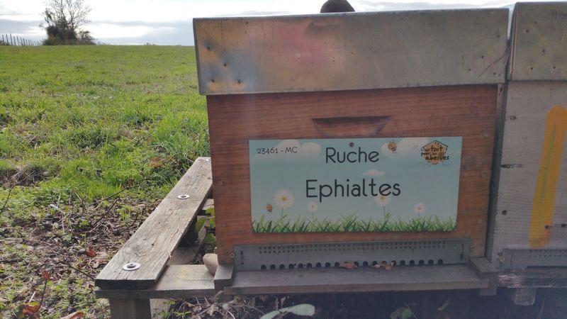 La ruche