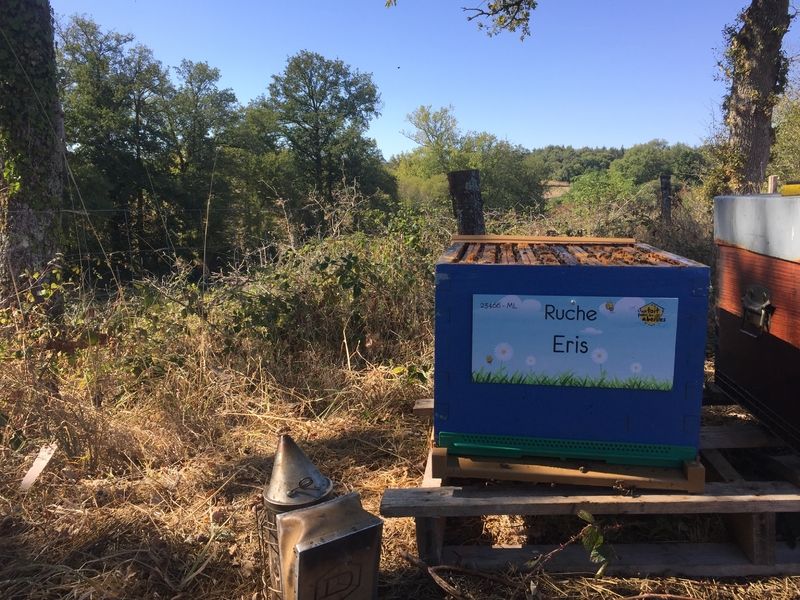 La ruche Eris