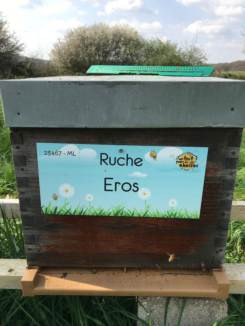 La ruche Eros