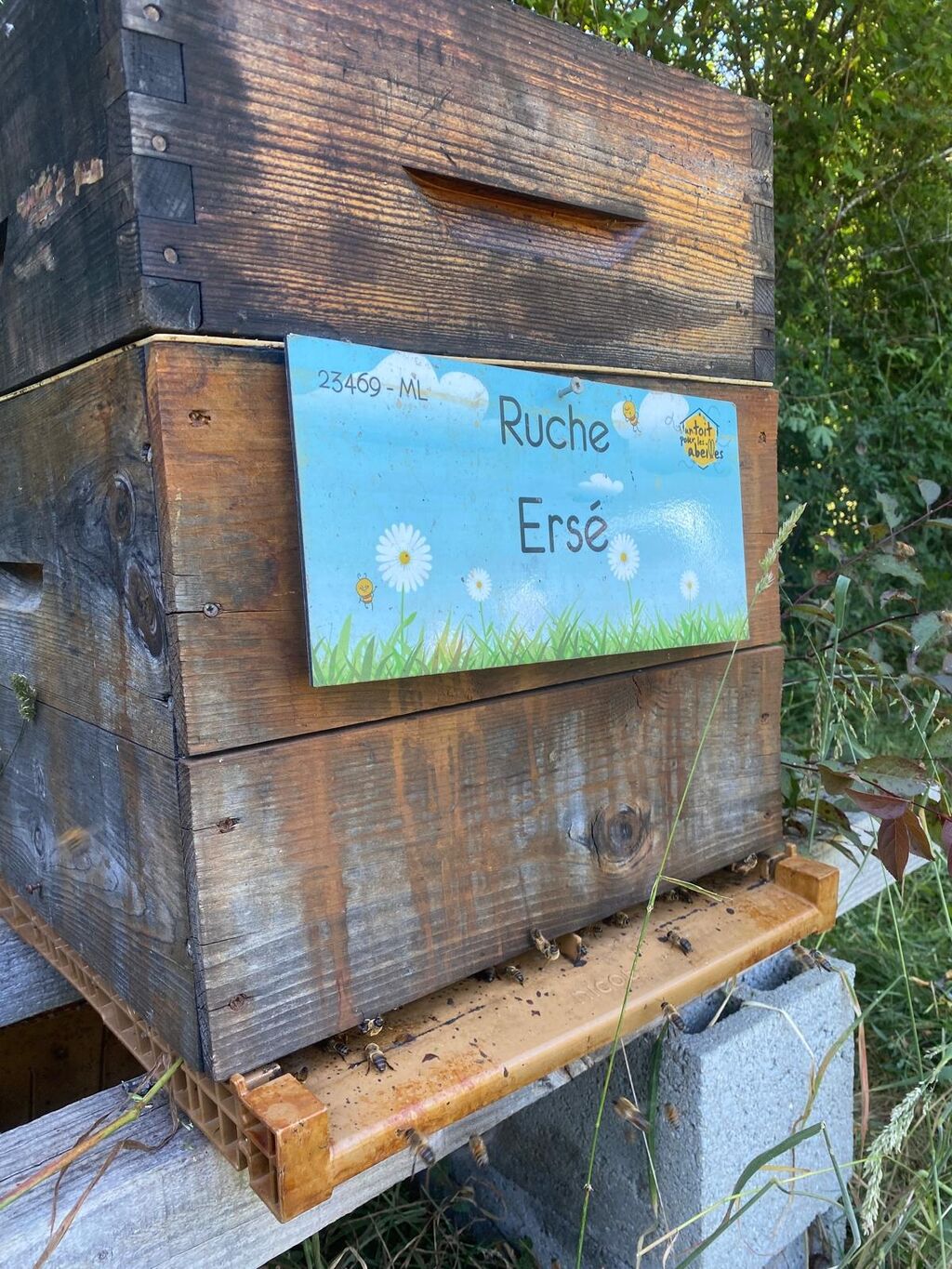 La ruche Ersé