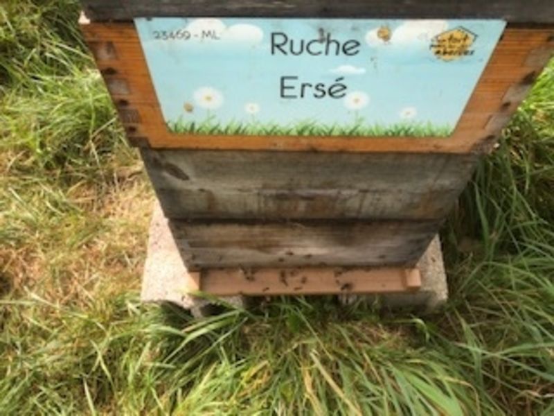La ruche Ersé