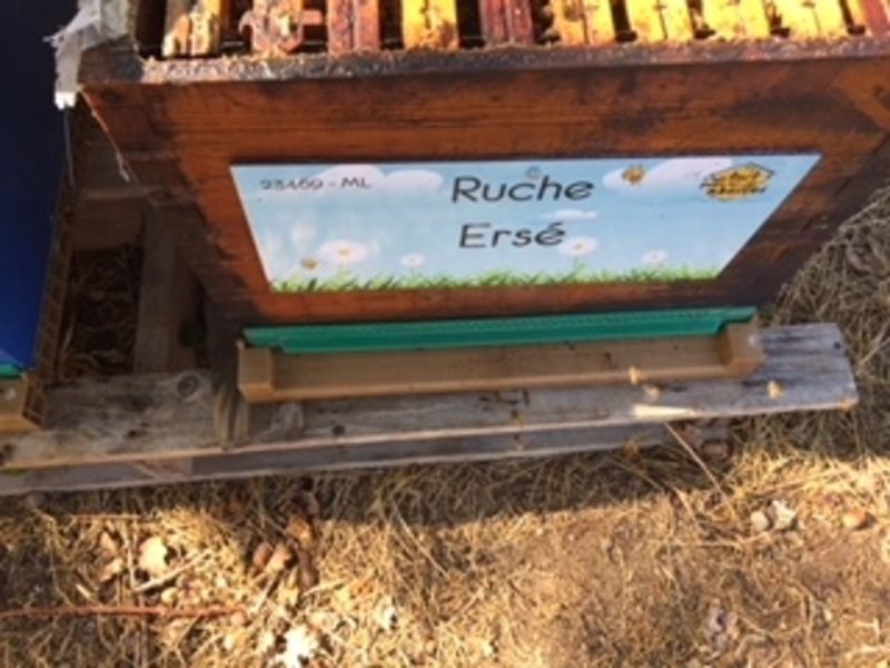 La ruche Ersé